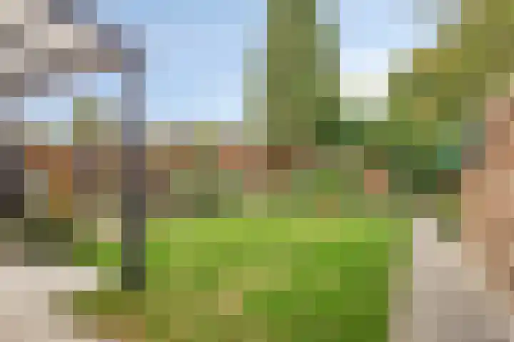 Veenbes 26 Gendringen thumbnail 34