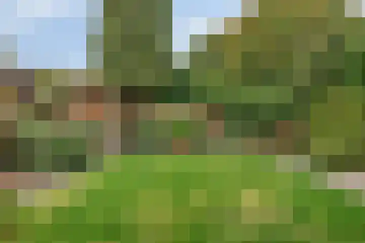 Veenbes 26 Gendringen thumbnail 38