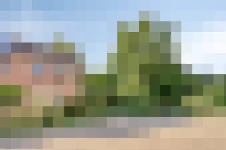 Veenbes 26 Gendringen thumbnail 40