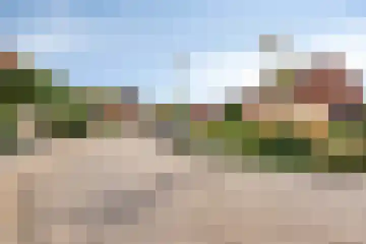 Veenbes 26 Gendringen thumbnail 41
