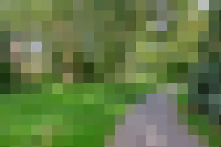 Veenbes 26 Gendringen thumbnail 42
