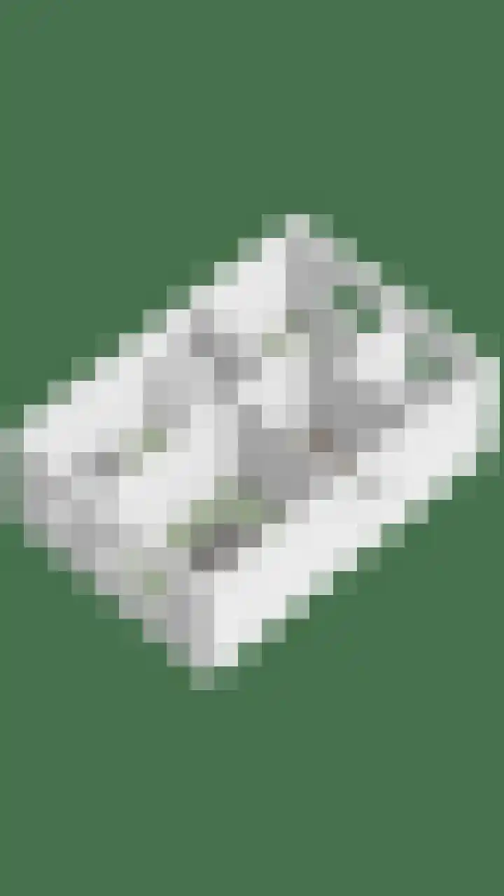 Veenbes 26 Gendringen thumbnail 49