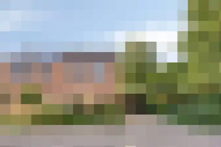 Veenbes 26 Gendringen thumbnail 6