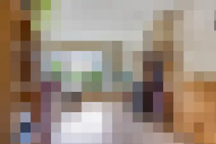 Veenbes 26 Gendringen thumbnail 9