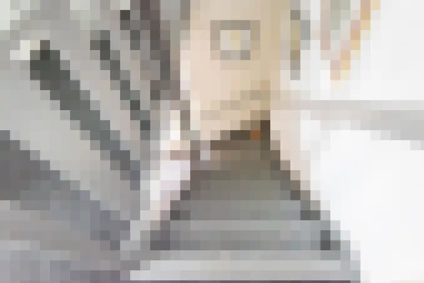 Veenbes 34 Gendringen thumbnail 18