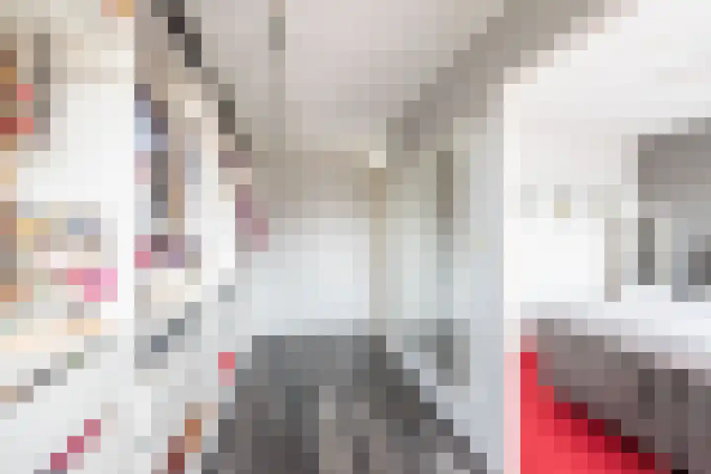 Veenbes 34 Gendringen thumbnail 23