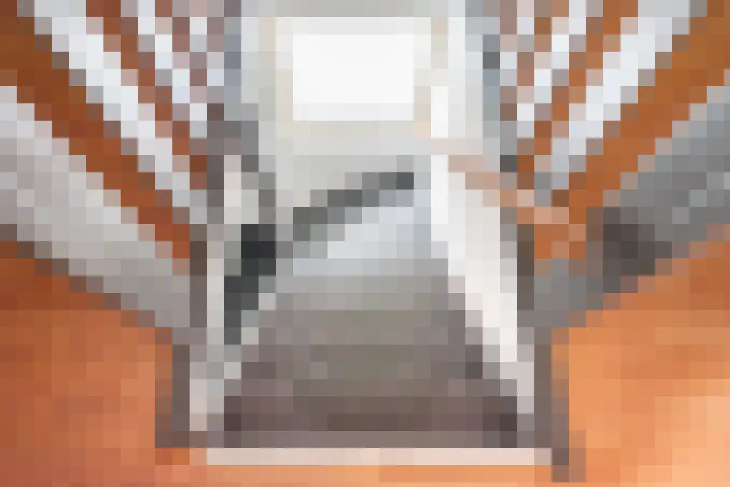 Veenbes 34 Gendringen thumbnail 30