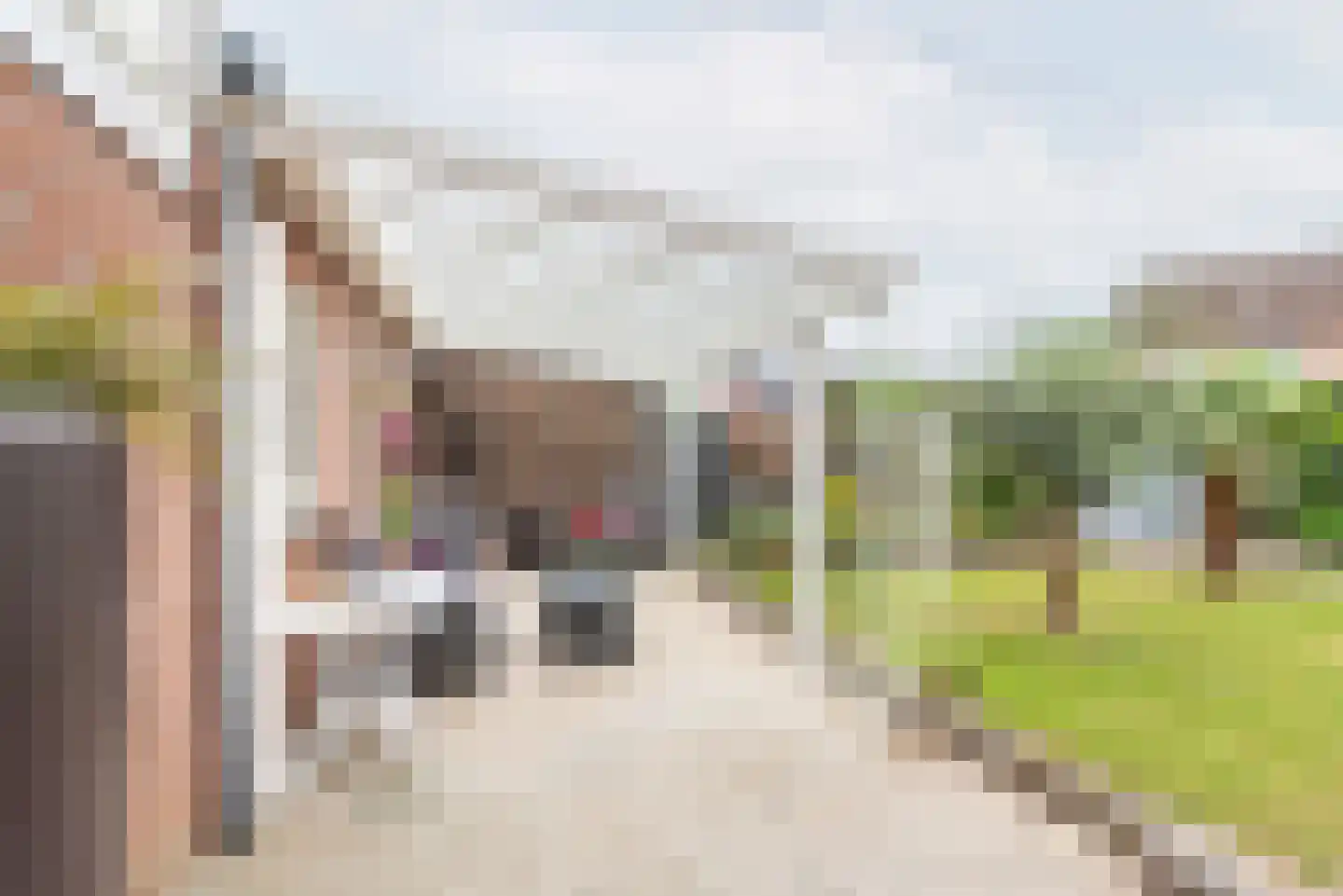 Veenbes 34 Gendringen thumbnail 36