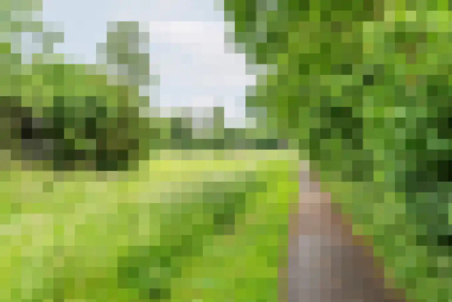 Veenbes 34 Gendringen thumbnail 42