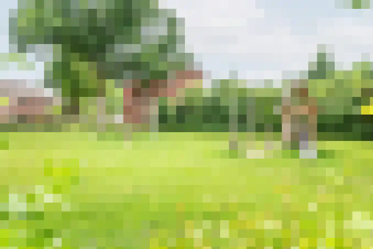 Veenbes 34 Gendringen thumbnail 43