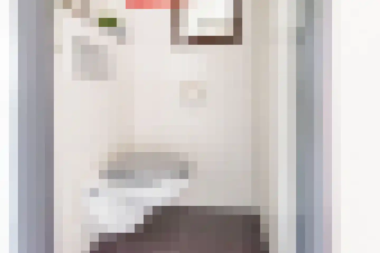 Veenbes 34 Gendringen thumbnail 8