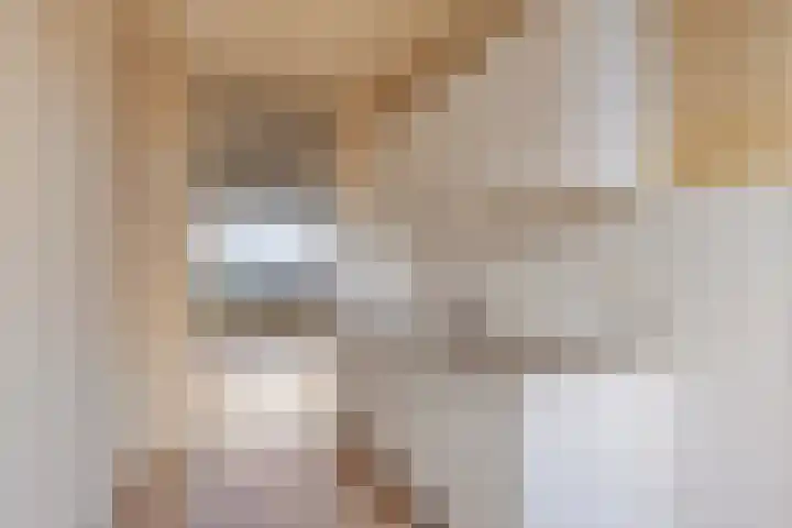 Veenbes 37 Leiden thumbnail 18