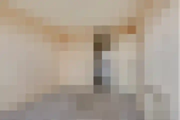 Veenbes 37 Leiden thumbnail 19