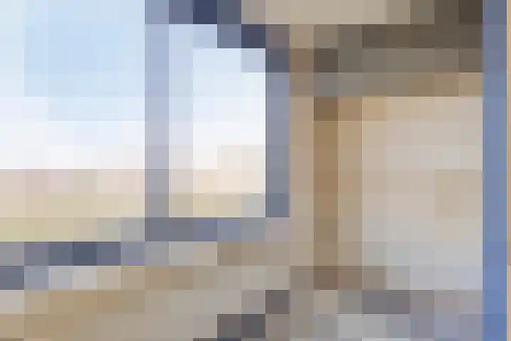 Veenbes 37 Leiden thumbnail 21