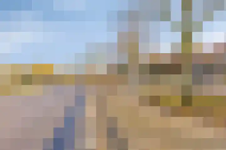 Veenbes 37 Leiden thumbnail 27
