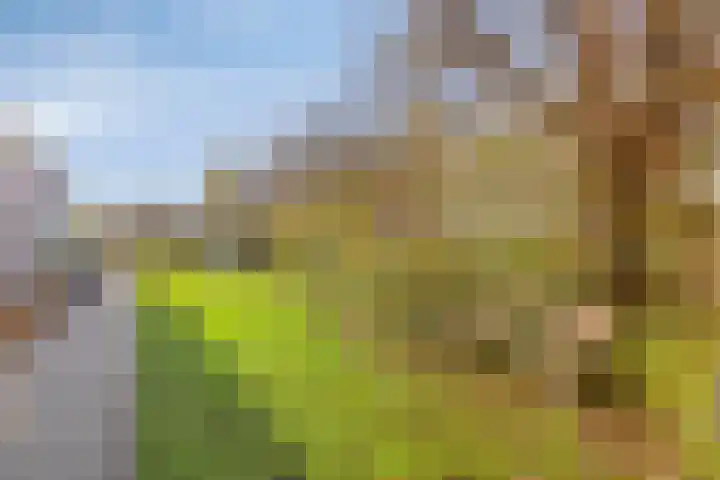 Veenbes 37 Leiden thumbnail 28