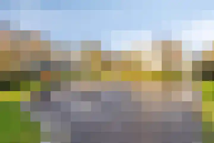 Veenbes 37 Leiden thumbnail 29