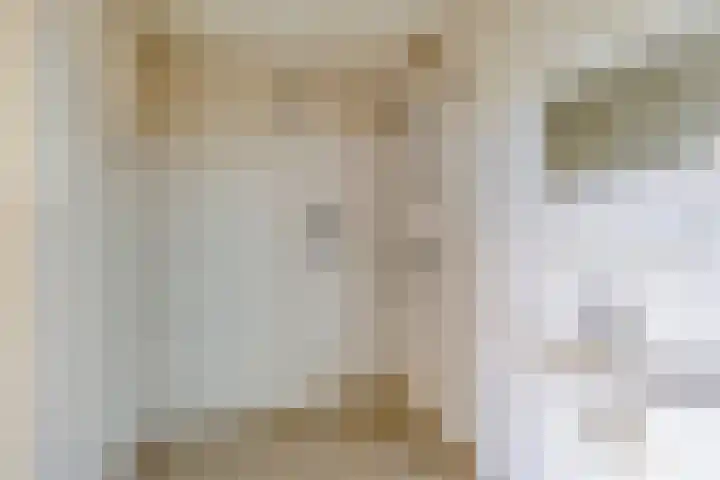 Veenbes 37 Leiden thumbnail 4
