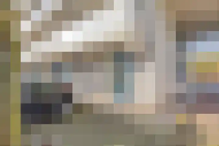 Veenbes 37 Leiden thumbnail 5