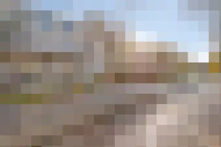 Veenbes 37 Leiden thumbnail 6