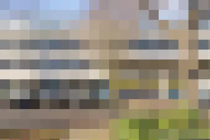Veenbes 37 Leiden thumbnail 7