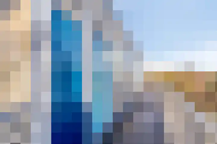 Veenbes 37 Leiden thumbnail 8