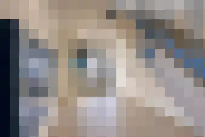 Veenbes 37 Leiden thumbnail 9