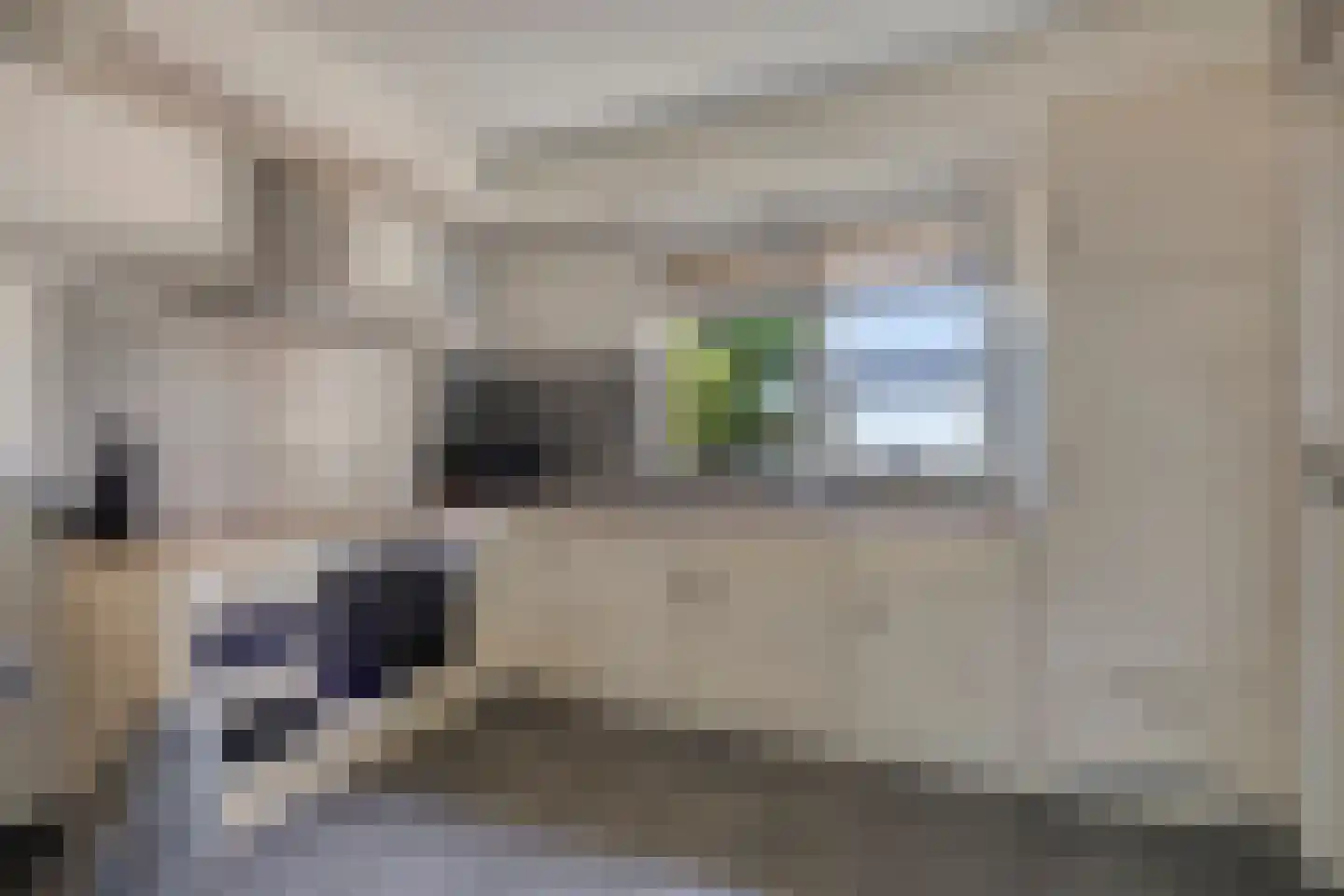 Veenbes 38 Nieuwlande thumbnail 10