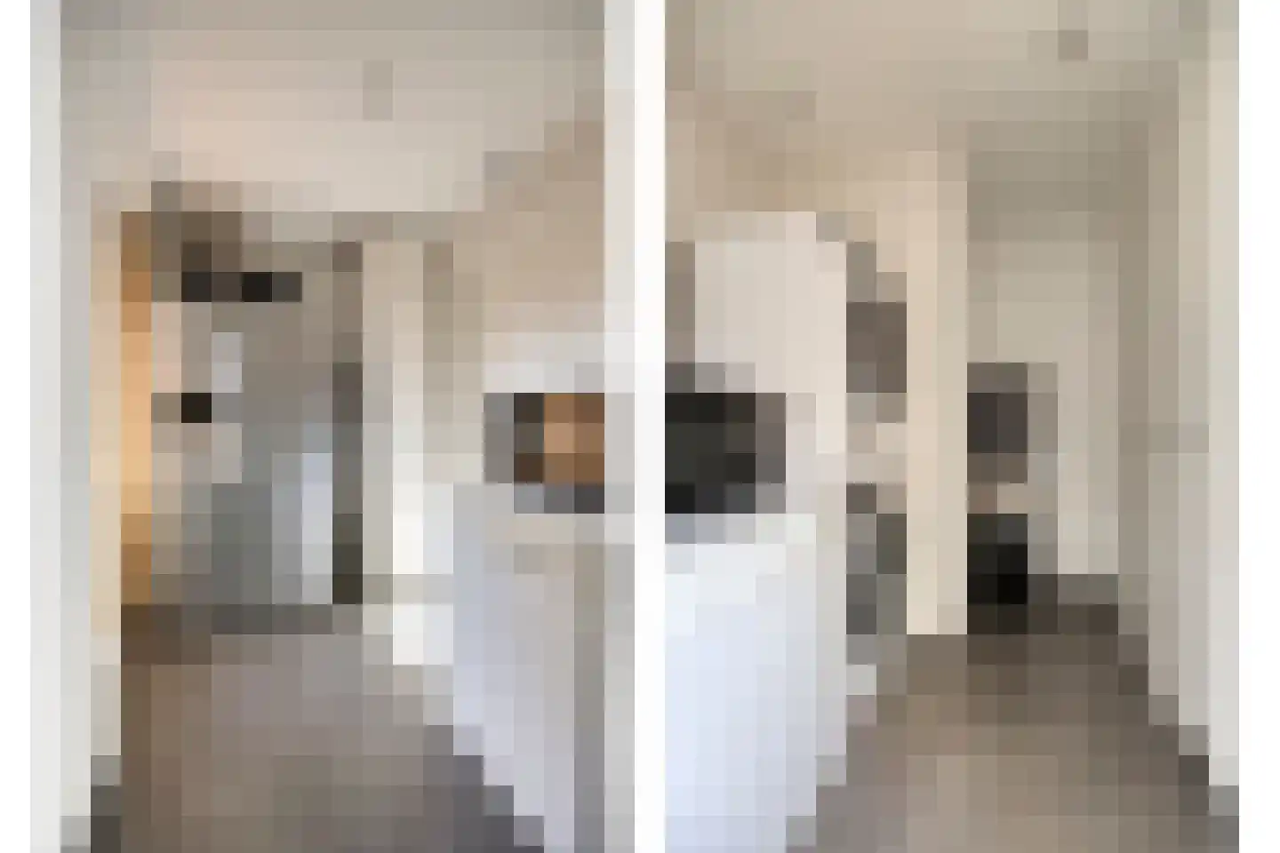 Veenbes 38 Nieuwlande thumbnail 12