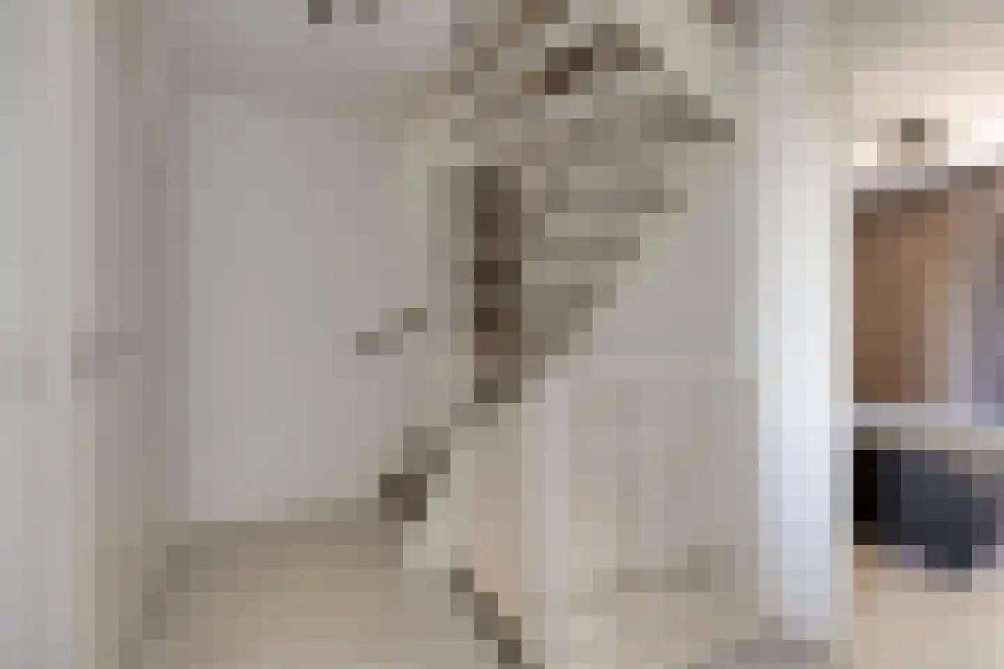 Veenbes 38 Nieuwlande thumbnail 14