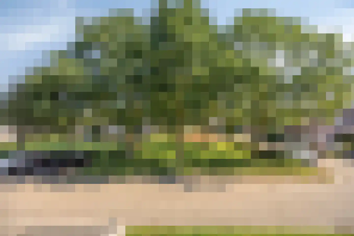 Veenbes 38 Nieuwlande thumbnail 17