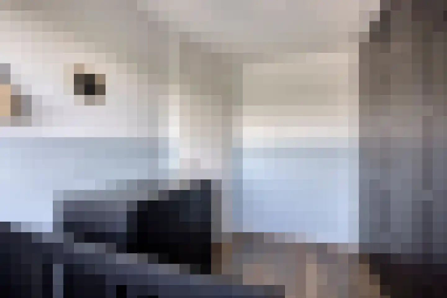 Veenbes 38 Nieuwlande thumbnail 23