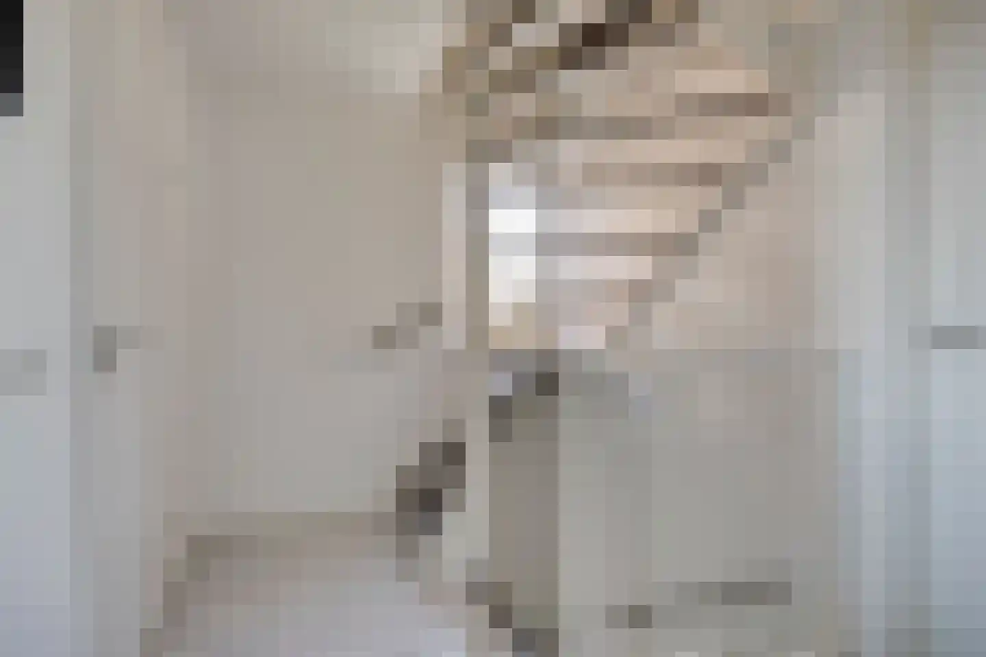 Veenbes 38 Nieuwlande thumbnail 26