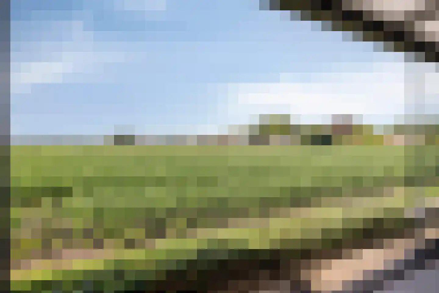 Veenbes 38 Nieuwlande thumbnail 40
