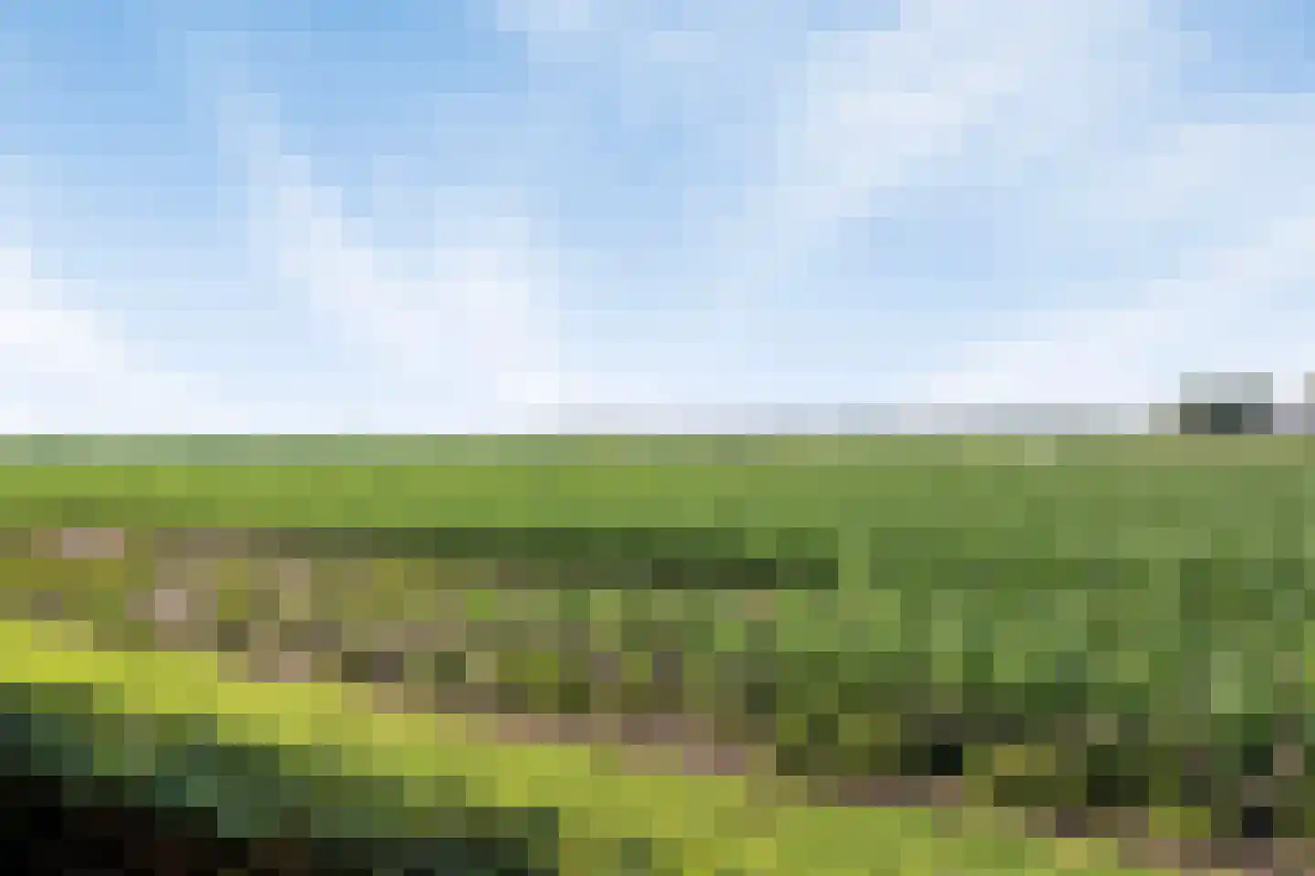 Veenbes 38 Nieuwlande thumbnail 41