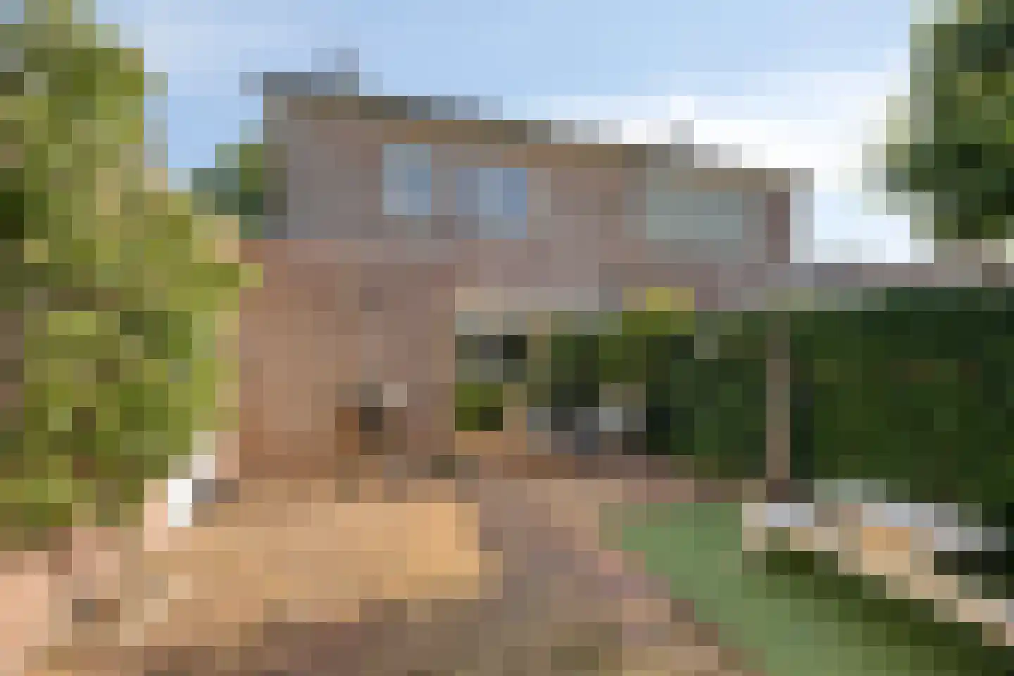 Veenbes 38 Nieuwlande thumbnail 42