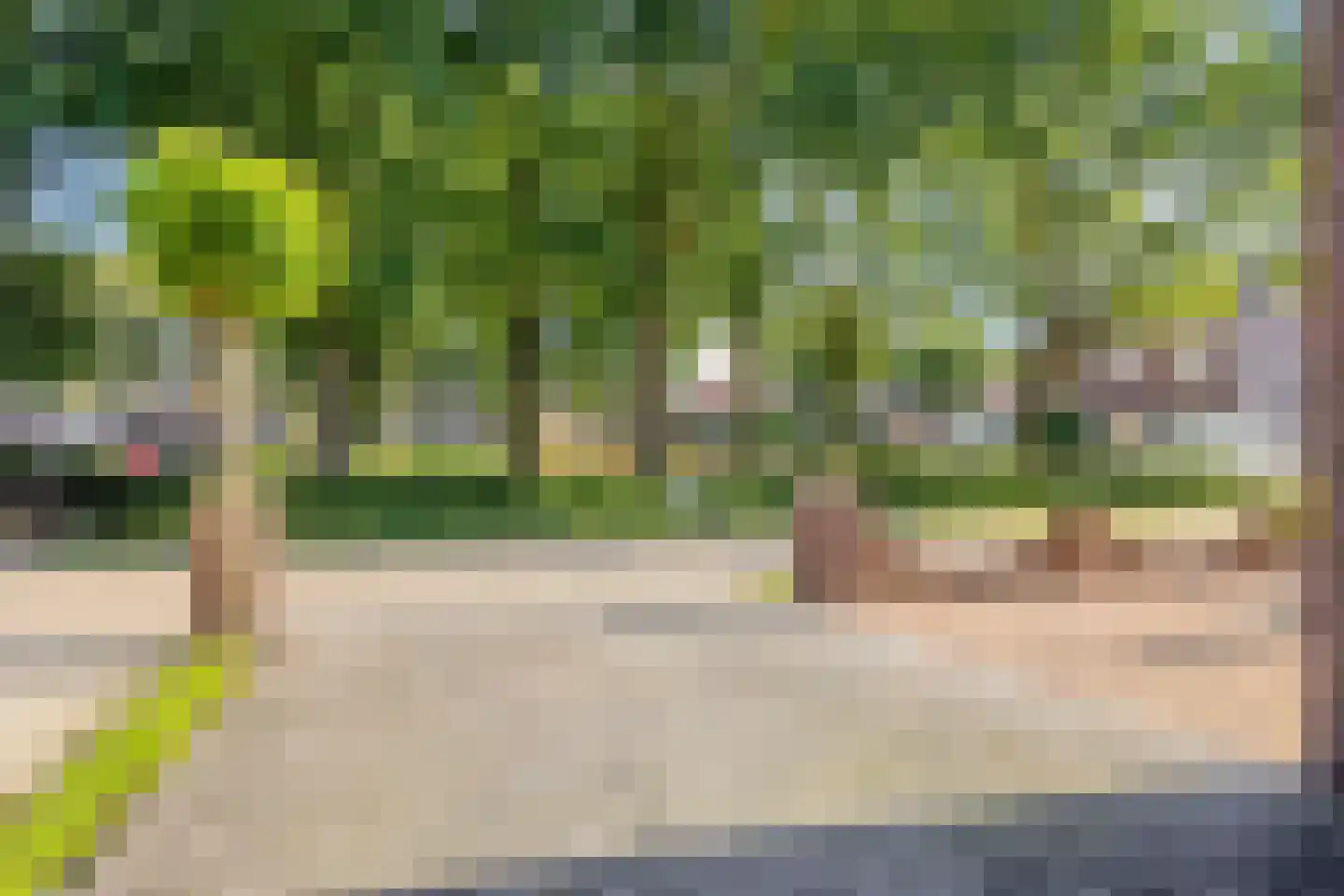 Veenbes 38 Nieuwlande thumbnail 44