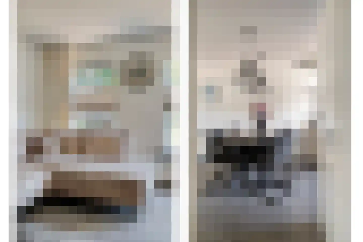 Veenbes 38 Nieuwlande thumbnail 6