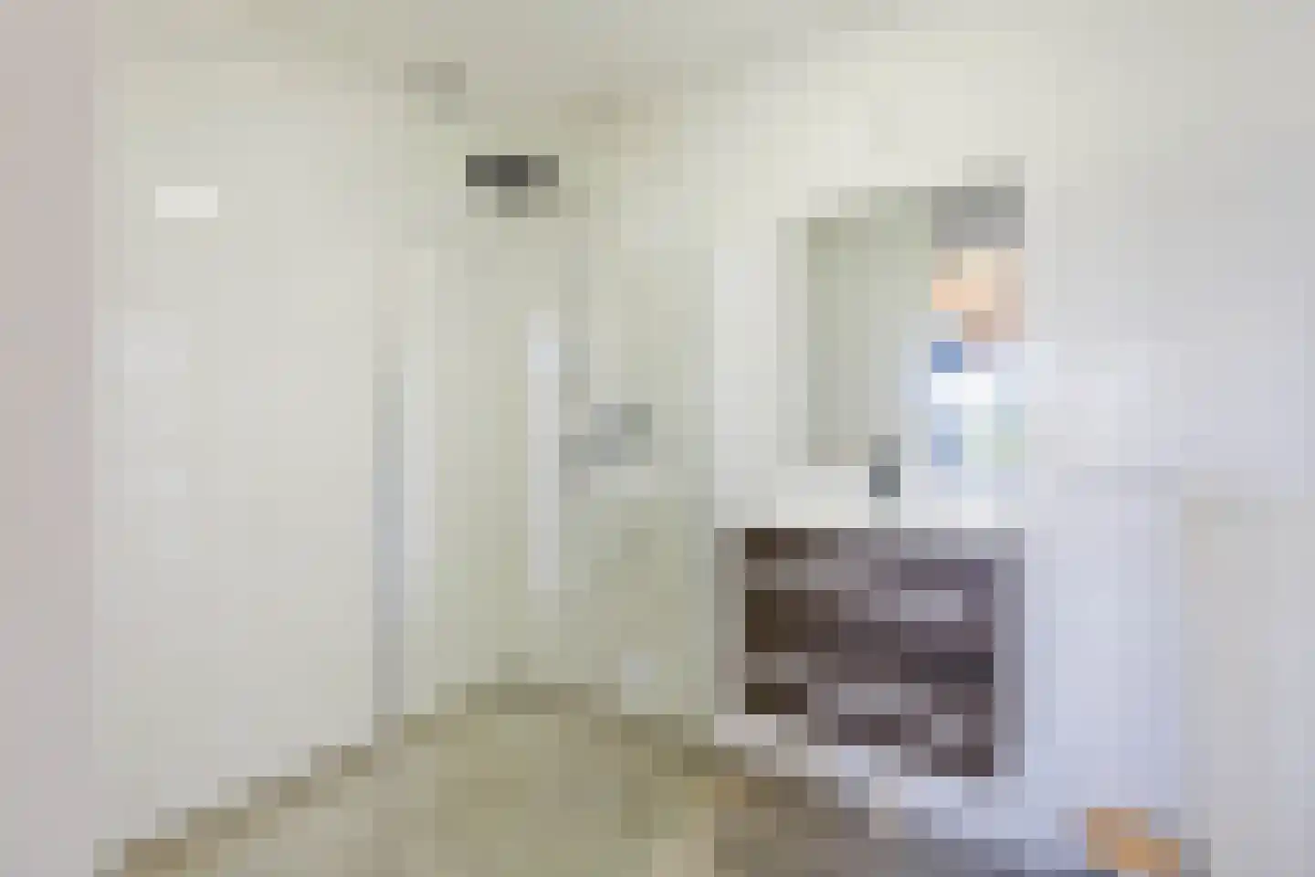Veenbes 43 Leiden thumbnail 16