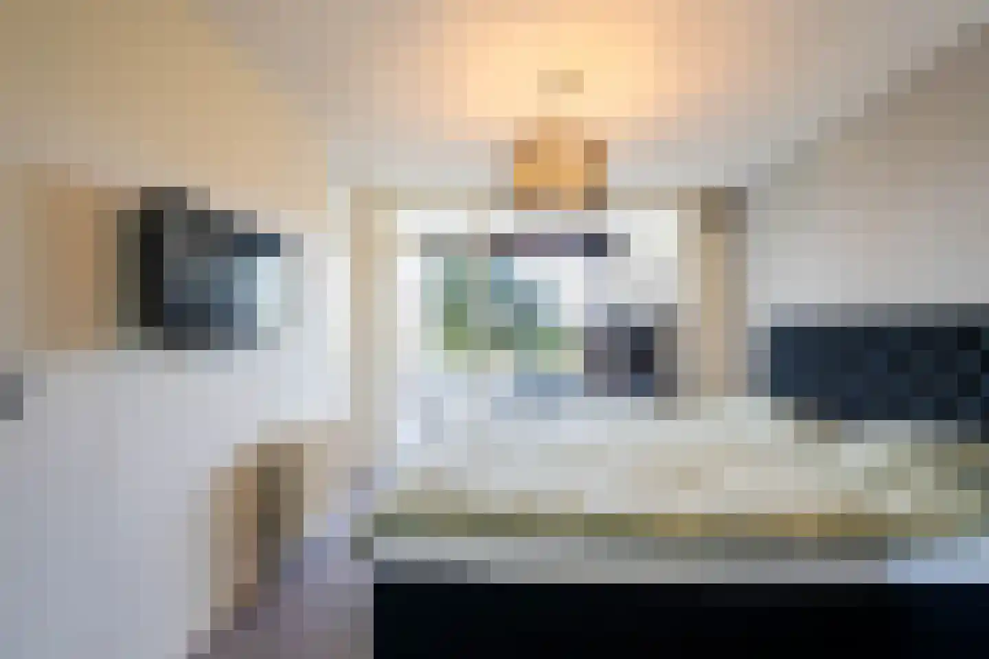 Veenbes 43 Leiden thumbnail 19