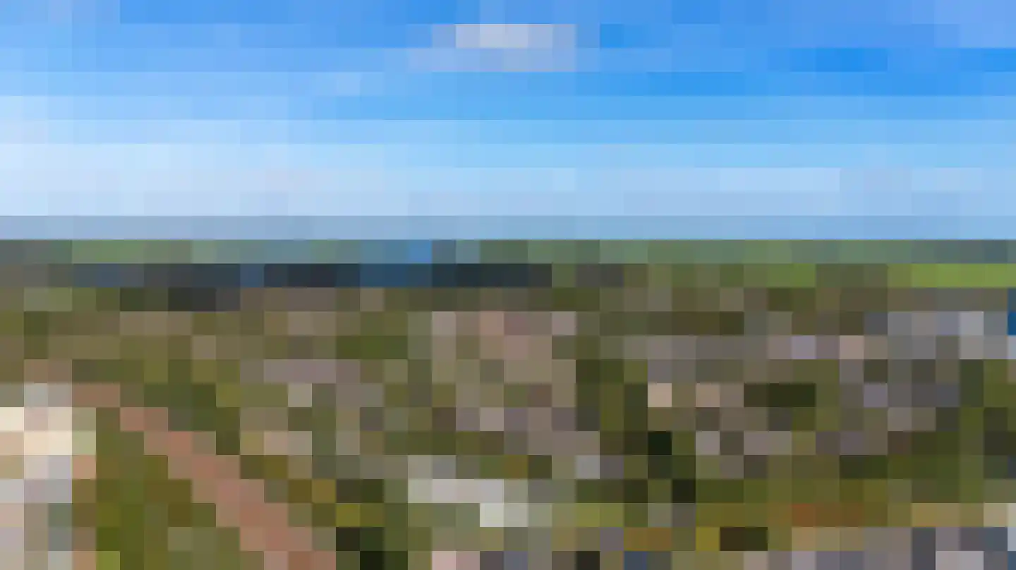 Veenbes 43 Leiden thumbnail 23