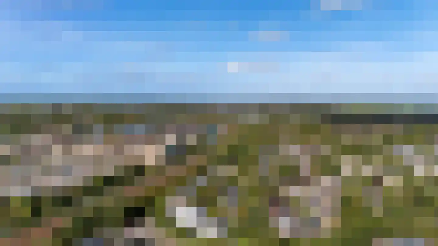 Veenbes 43 Leiden thumbnail 24