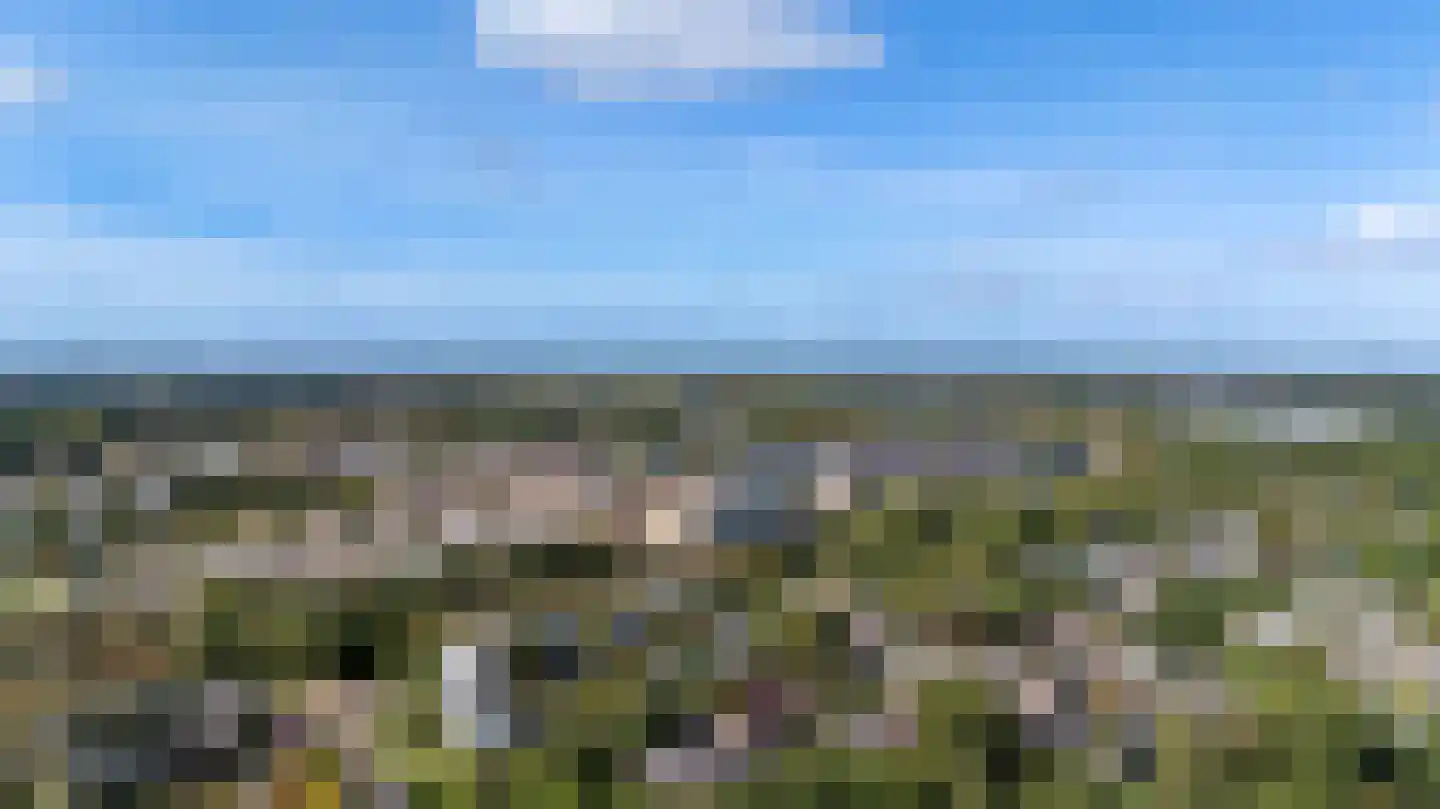 Veenbes 43 Leiden thumbnail 25