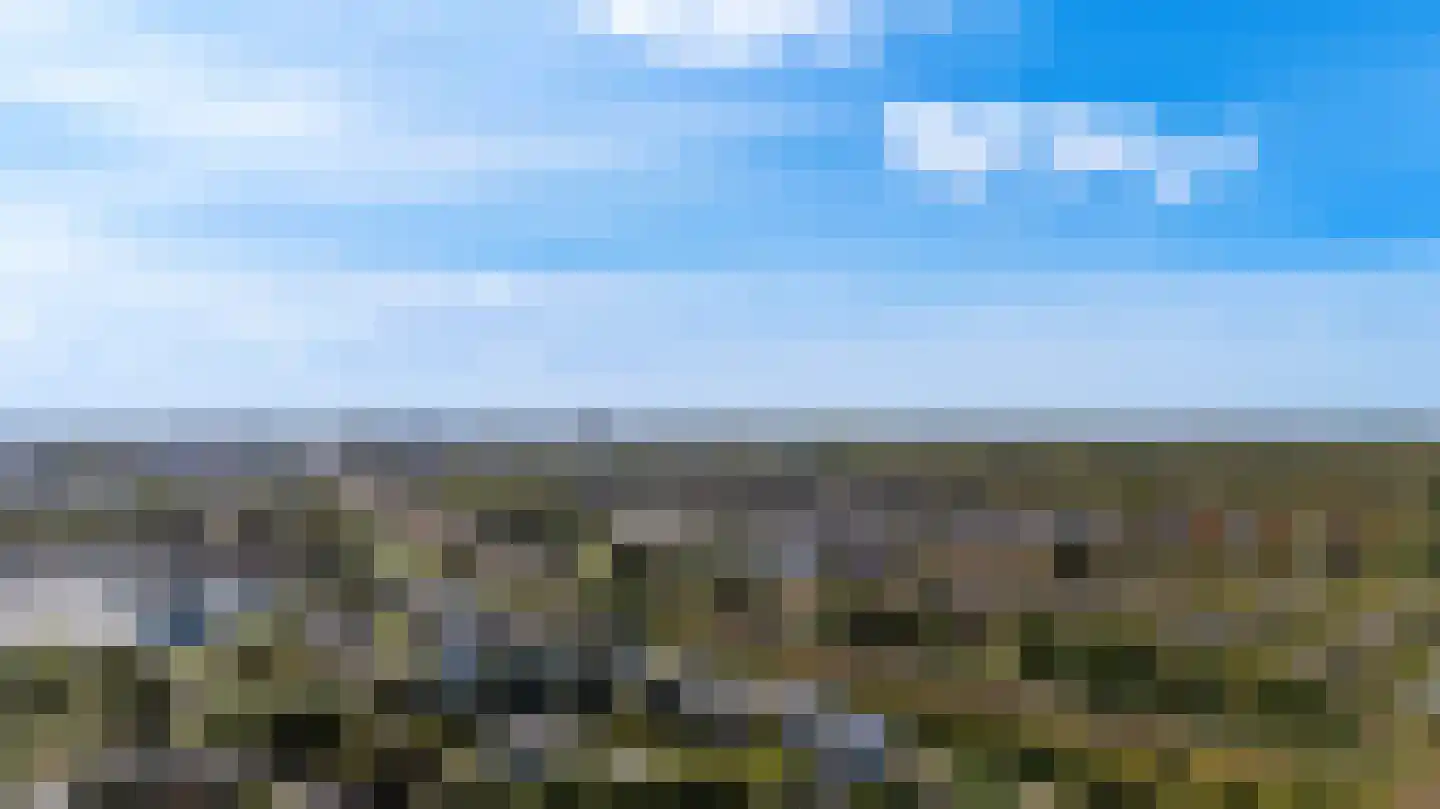 Veenbes 43 Leiden thumbnail 26