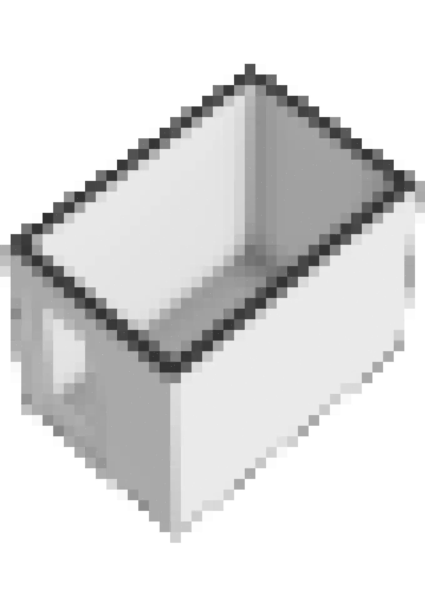 Veenbes 43 Leiden thumbnail 30