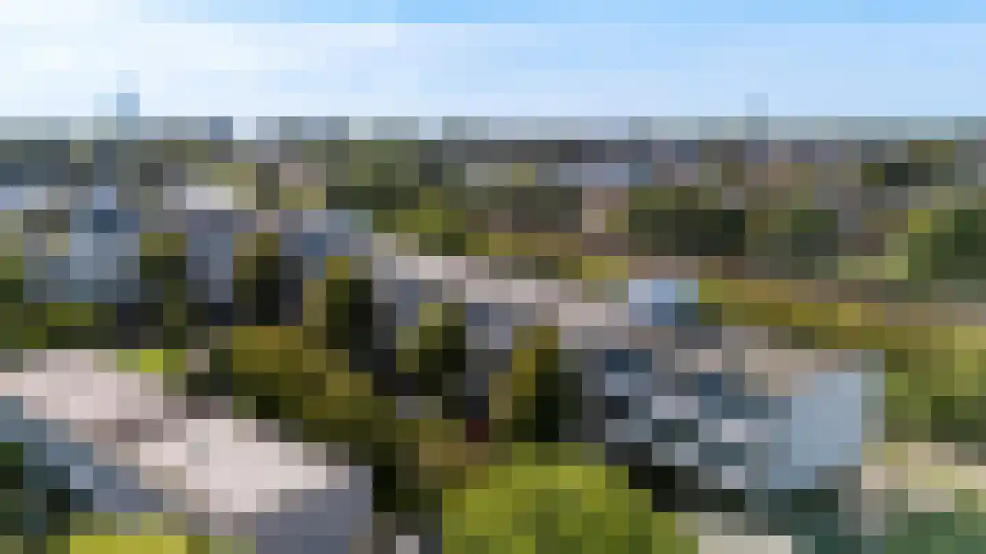 Veenbes 43 Leiden thumbnail 6