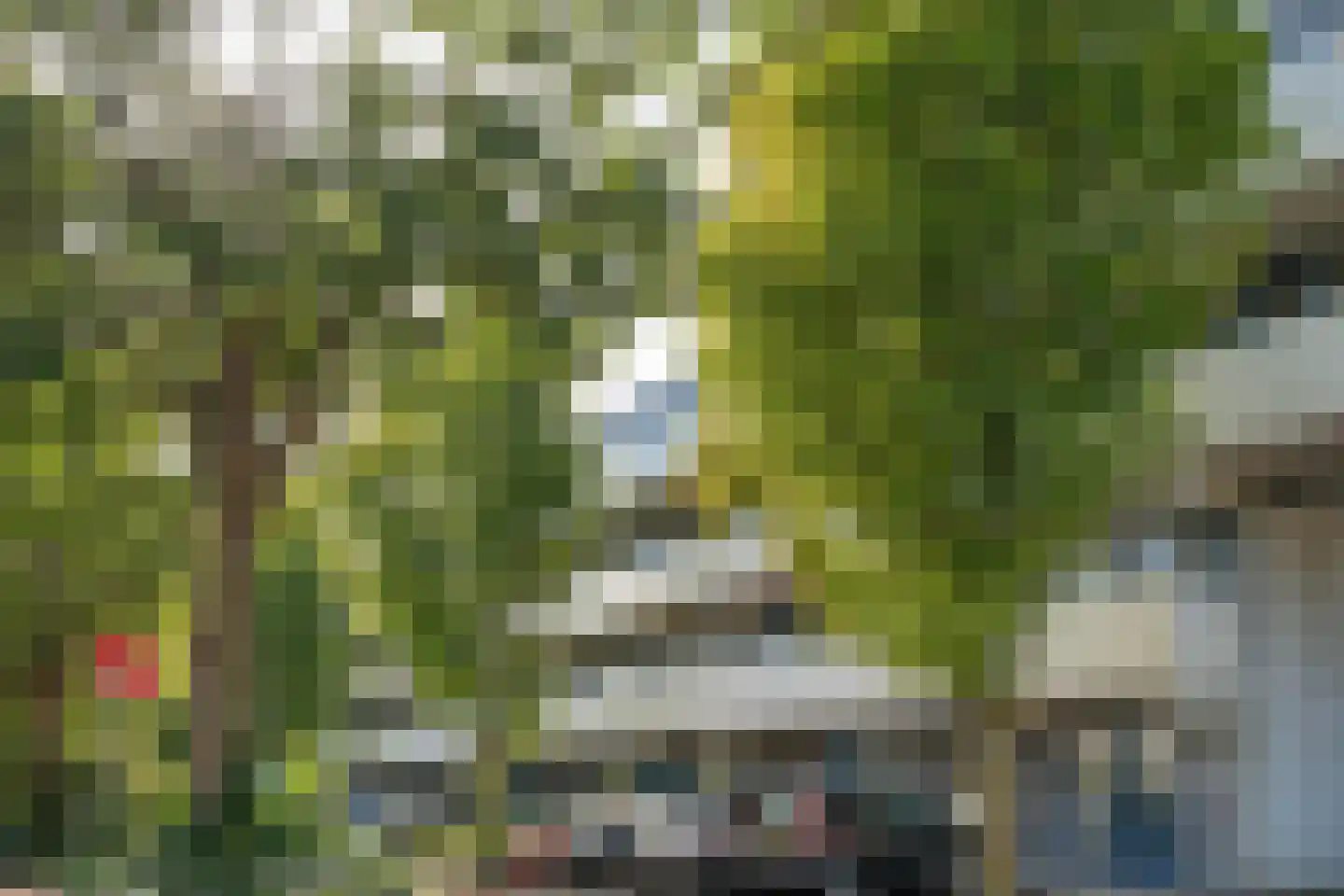 Veenbes 43 Leiden thumbnail 7