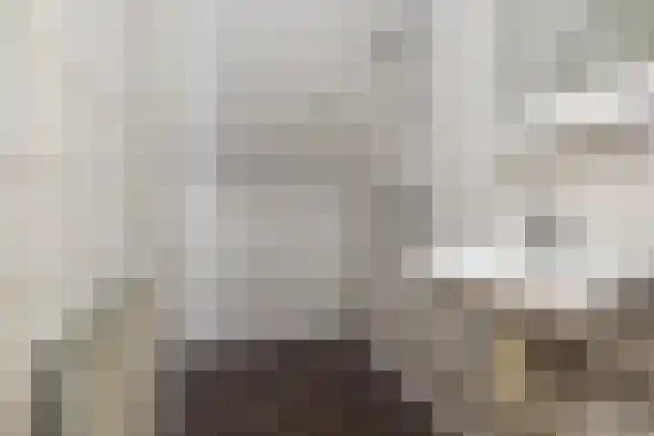 Veenbes 49 Ter Apel thumbnail 11