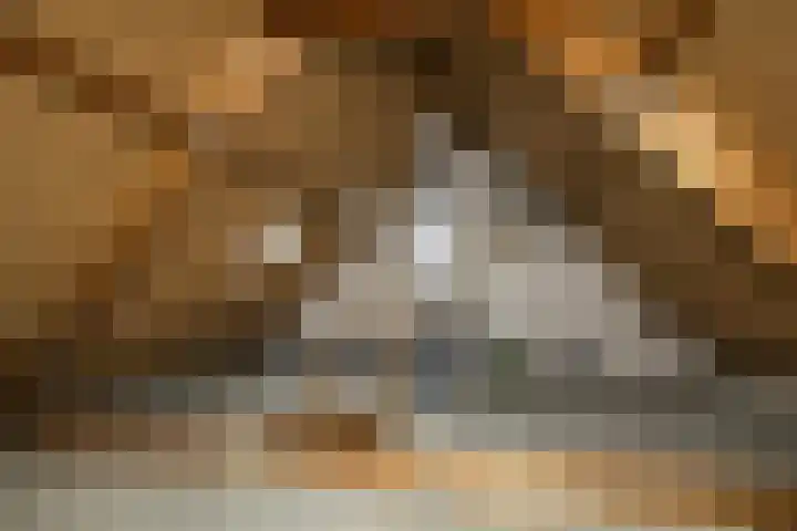 Veenbes 49 Ter Apel thumbnail 12