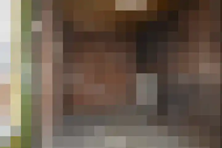 Veenbes 49 Ter Apel thumbnail 14